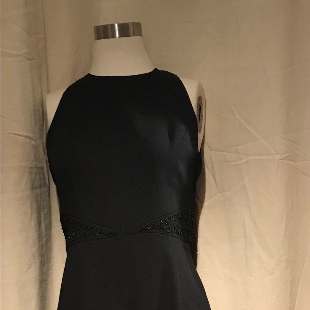 Liz Claiborne’s dress